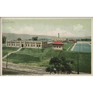    Reprint Filteration Plant, Cincinnati Water Works  
