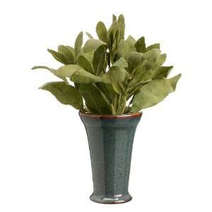  9 Sage in Ceramic Container Green Frosted (Pack of 12 