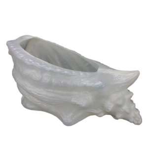  Large Plastic Conch Shell Planter: Classic Union Products 