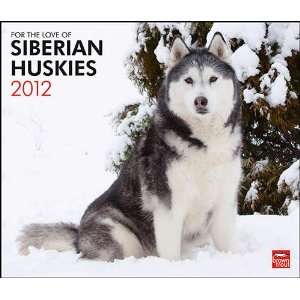   Love of Siberian Huskies 2012 Deluxe Wall Calendar: Office Products
