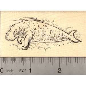  Stellers Sea Cow Rubber Stamp Arts, Crafts & Sewing