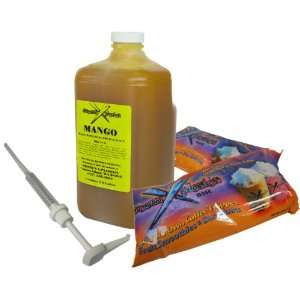 Frozen X Plosion Fruit Smoothie Starter Kit, Mango, 9 Pound Box 