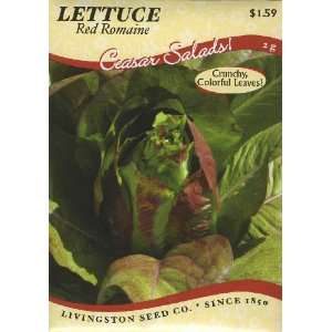  Lettuce   Red Romaine Patio, Lawn & Garden