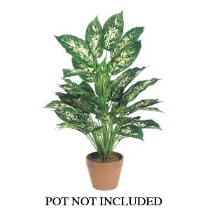  2 Deluxe Dieffenbachia Plant X7 W/45 Lvs. (Pack of 12 