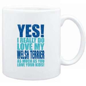    YES I REALLY DO LOVE MY Welsh Terrier  Dogs