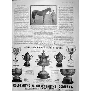  1902 Sceptre Derby Horse Sievier Goldsmith Prize Cups 