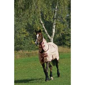  Amigo by Horseware Mio Fly Sheet: Sports & Outdoors