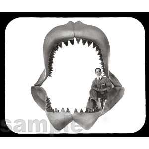  Megalodon Mouse Pad: Everything Else