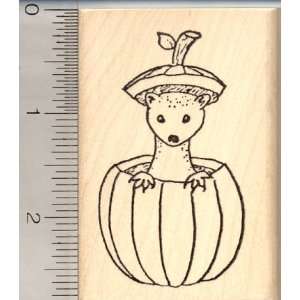  Medium Ferret in Pumpkin Rubber Stamp: Arts, Crafts 