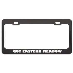 Got Eastern Meadow Vole? Animals Pets Black Metal License Plate Frame 