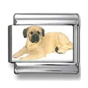  Mastiff Dog Photo Italian Charm: Jewelry