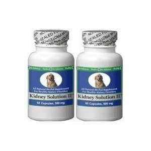  Healthy Pet Solutions Canine Kidney Solution II 2 Bottles 