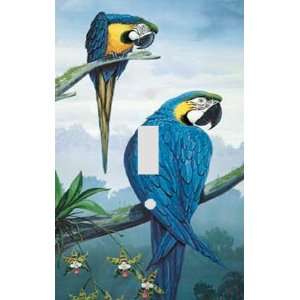  Blue Macaws Decorative Switchplate Cover