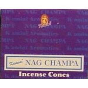  Nag Champa Cones   Kamini Incense   Box of 10 Beauty