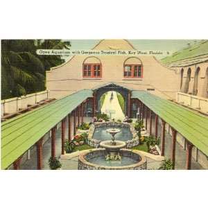   Vintage Postcard   Open Aquarium   Key West Florida 