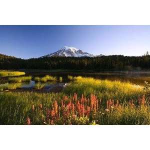  Mount Rainier National Park   Peel and Stick Wall Decal by 