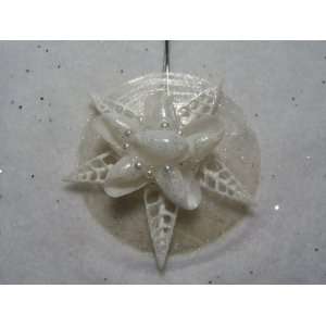 Christmas Seashell Ornament Gift New Handmade Original Design Order By 