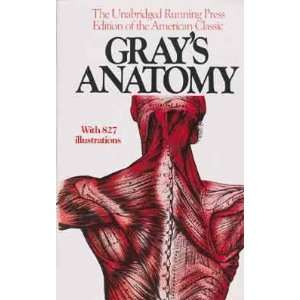  Grays Anatomy Toys & Games