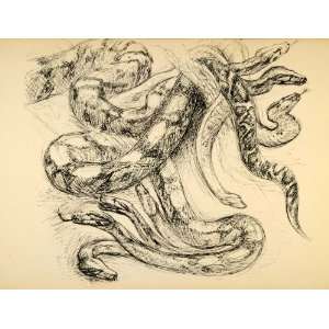  1944 Print Wildlife Art Snakes Ernst Denzler Pen Sketch 