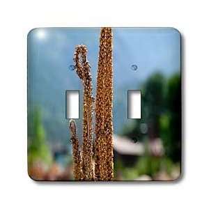   Cabin, Trees and a Mountain in the Rear   Light Switch Covers   double