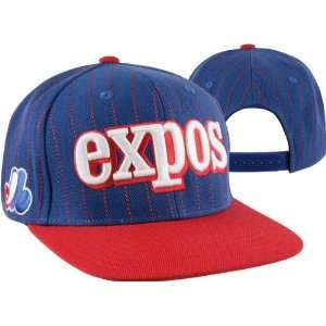  Montreal Expos Two Tone Dotty Pinstripe Snapback Hat 