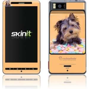  Yorkie Puppy with Candy skin for Motorola Droid X 