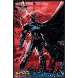   DC Comics Poster (Lightning & Rain) (Size: 24 x 36): Home & Kitchen