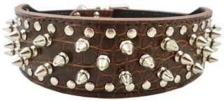 19 22 Studed Spikes Croc Leather Dog Collar Pit Bull  