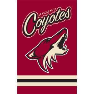  Phoenix Coyotes Applique House Flag: Sports & Outdoors
