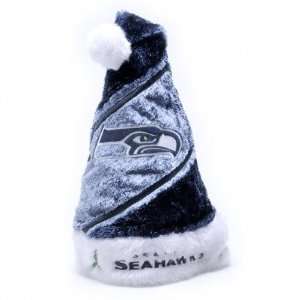    Seattle Seahawks HIMO Colorblock Santa Hat: Sports & Outdoors