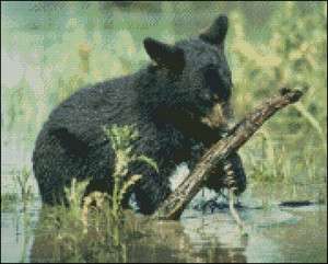 Black Bear Cub Playing   Counted Cross Stitch Pattern  