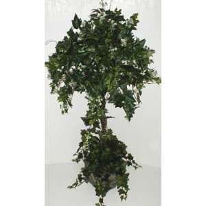 45 Sage Ivy Topiary in Wooden Box 