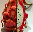 Dragon Fruit Plant   Hylocereus   Pitaya/Strawbe​rry Pear   3 Pot
