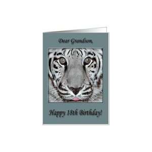   Greetings,18th Birthday for Grandson, White Tiger Card: Toys & Games