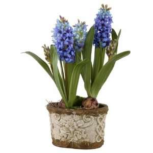   Mediterranean Blue Hyacinth Floral Arrangement60019
