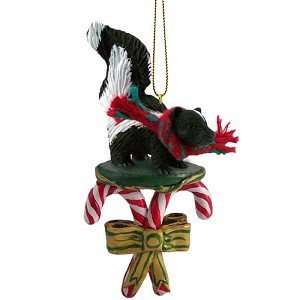  Skunk Candy Cane Christmas Ornament: Home & Kitchen