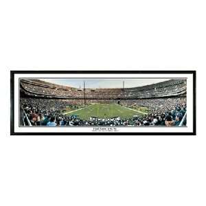   Eagles Final Season at the Vet 616 Piece Jigsaw Puzzle Toys & Games