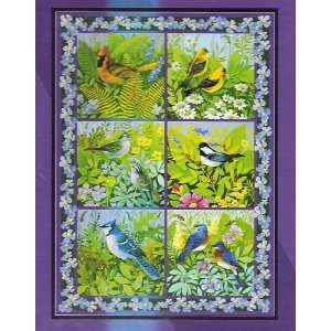  In the Aviary   Bird Species Jigsaw Puzzle Toys & Games