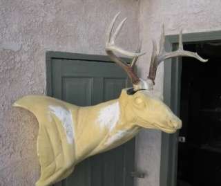 HUGE 10 pt 5x5 WHITETAIL DEER RACK Antlers mule mount taxidermy elk 