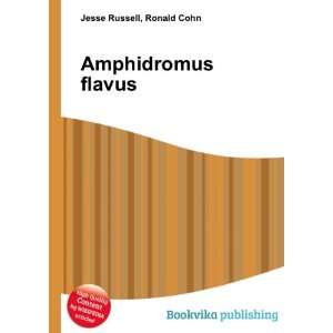  Amphidromus flavus Ronald Cohn Jesse Russell Books