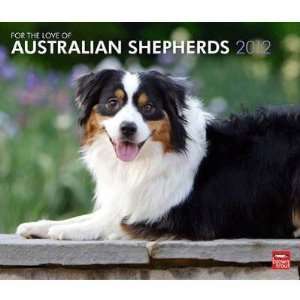 Australian Shepherds 2012 Deluxe Wall Calendar Office 