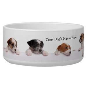  Cute Jack Russell Puppies Waiting For Their Food Dog Food 