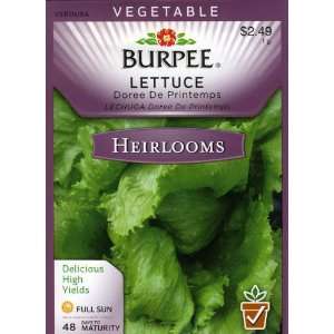   Lettuce, Head Doree De Printemps Seed Packet: Patio, Lawn & Garden
