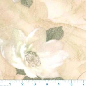 54 Wide Stretch Mesh Rose Cream Fabric By The Yard: Arts 
