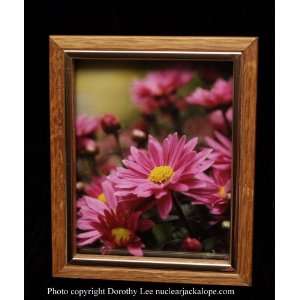   fine art photograph by Dorothy Lee pink flower floral: Everything Else