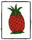 ag40 Patch Badge Sew Iron on Cute Fruit Pineapple Baby