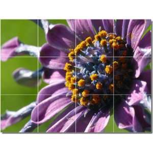  Flowers Photo Wall Tile Mural 23  12.75x17 using (12) 4 