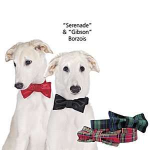  Bow Tie Collar: Pet Supplies