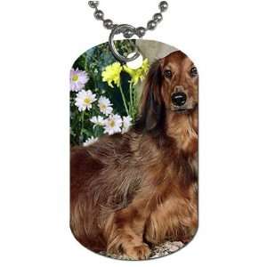  Long haired dachsund Dog Tag with 30 chain necklace Great 