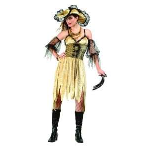  Adult Deluxe Pirate Lady Costume Size Small (2 4 